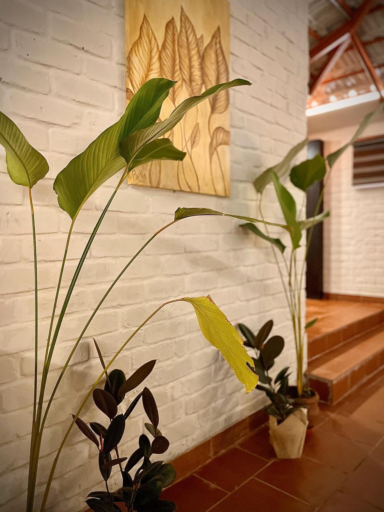 Boho'S Hotel 瓦尔卡拉 外观 照片